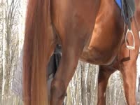 Zoofilia lover lady rides a horse and jacks off its cock